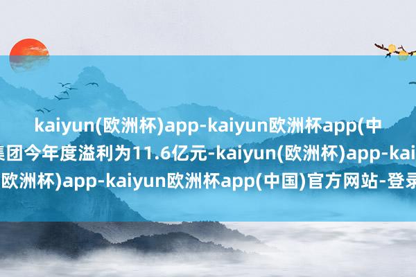 kaiyun(欧洲杯)app-kaiyun欧洲杯app(中国)官方网站-登录入口集团今年度溢利为11.6亿元-kaiyun(欧洲杯)app-kaiyun欧洲杯app(中国)官方网站-登录入口
