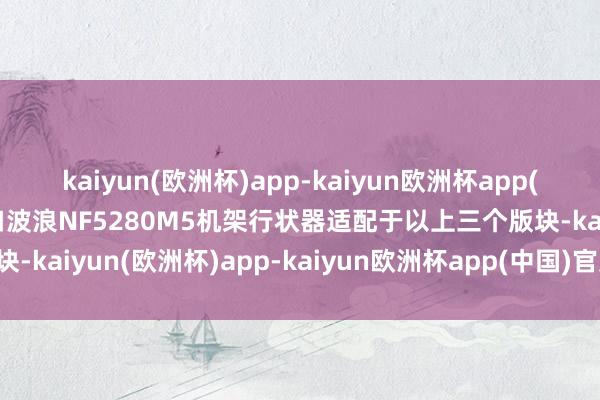 kaiyun(欧洲杯)app-kaiyun欧洲杯app(中国)官方网站-登录入口波浪NF5280M5机架行状器适配于以上三个版块-kaiyun(欧洲杯)app-kaiyun欧洲杯app(中国)官方网站-登录入口