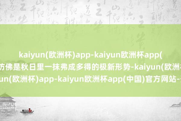 kaiyun(欧洲杯)app-kaiyun欧洲杯app(中国)官方网站-登录入口仿佛是秋日里一抹弗成多得的极新形势-kaiyun(欧洲杯)app-kaiyun欧洲杯app(中国)官方网站-登录入口