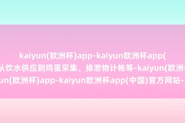 kaiyun(欧洲杯)app-kaiyun欧洲杯app(中国)官方网站-登录入口从饮水供应到鸡蛋采集、排泄物计帐等-kaiyun(欧洲杯)app-kaiyun欧洲杯app(中国)官方网站-登录入口